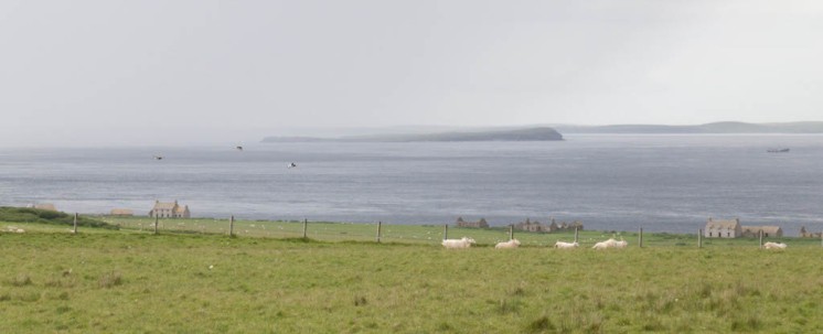 Crofts with Swona and Orkney in the distance